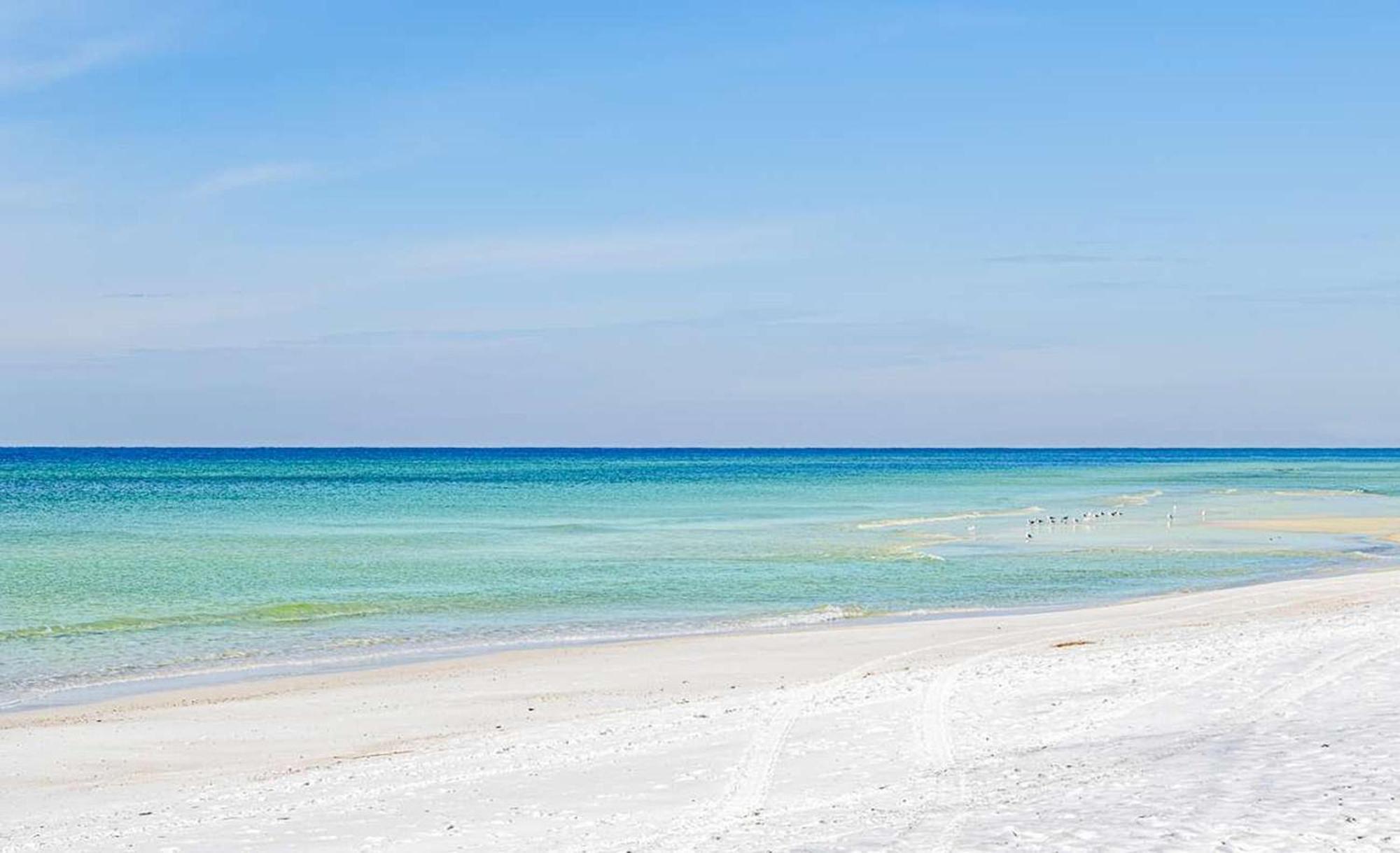 פנמה סיטי ביץ' Tidewater 2308 By Emerald Coast Retreats מראה חיצוני תמונה